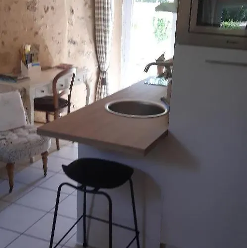 Les Maharanis 펜션 *